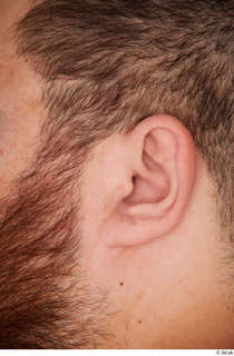 Street  876 ear 0001.jpg